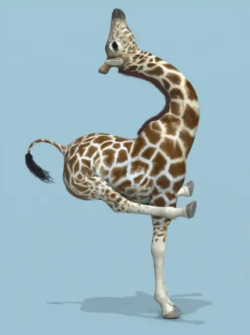 Giraffe Art Portrait